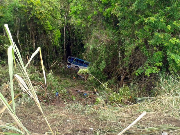 Foto: Viviane Moreira / Site O Povo News