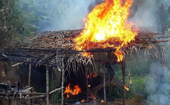 COM USO DE DRONE, PM LOCALIZA 5 MIL PÉS DE MACONHA EM GANDU