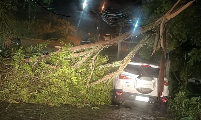 Inmet emite alerta de vendaval para diversas regiões da Bahia