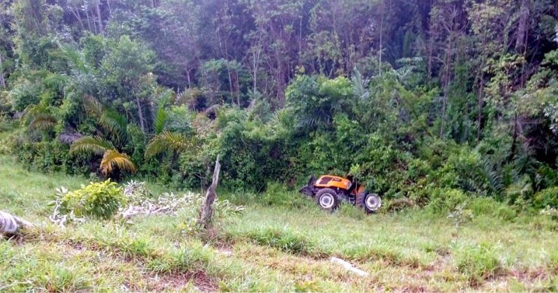 Foto: Reprodução/Radar News