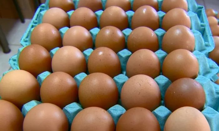Preço do ovo de galinha sobe mais de 20% 
