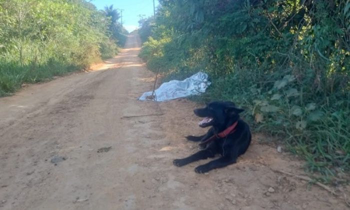 "Garotinho" é assassinado a tiros na zona rural de Ubatã