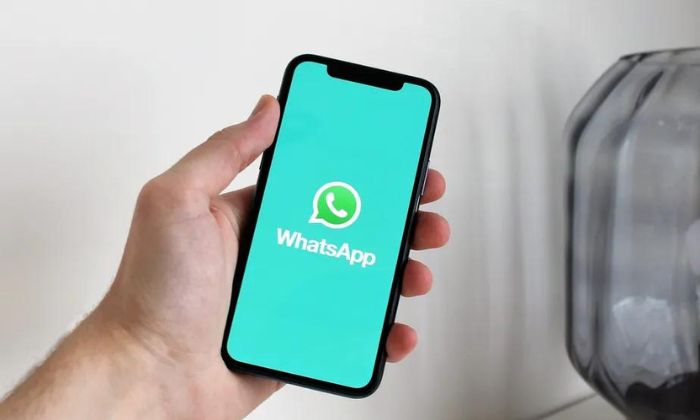 WhatsApp bloqueia opção de fazer captura de tela em fotos de contatos