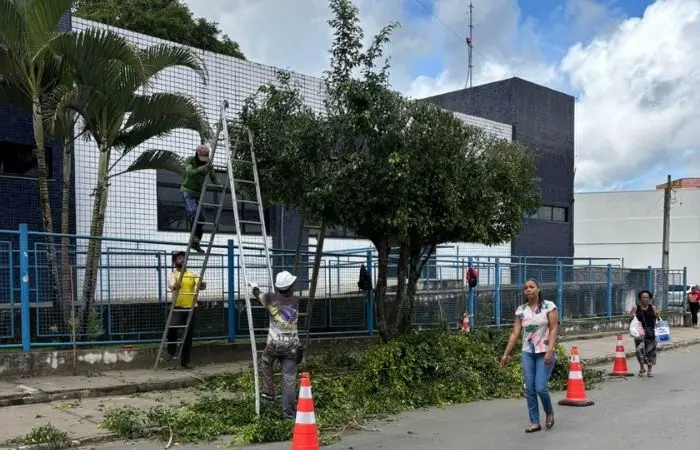 –– Crédito: Divulgação