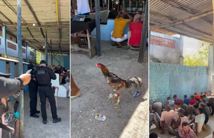 Crédito: Polícia Militar da Bahia