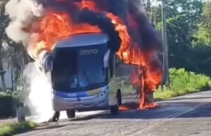 Foto: Reprodução/ Redes socias
