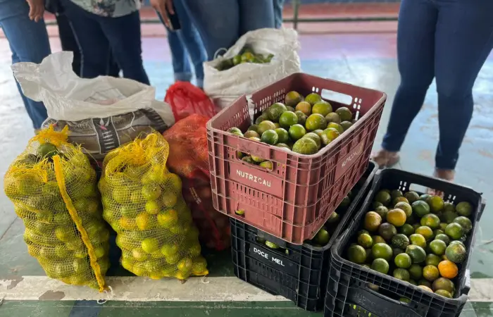 — Crédito: Divulgação
