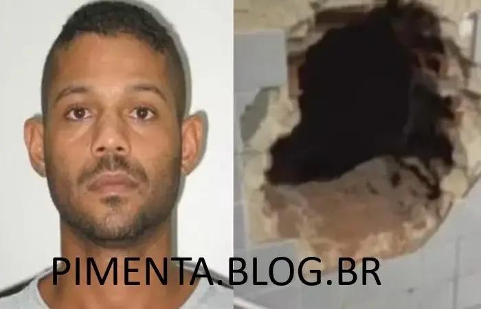 Fotomontagem PIMENTA