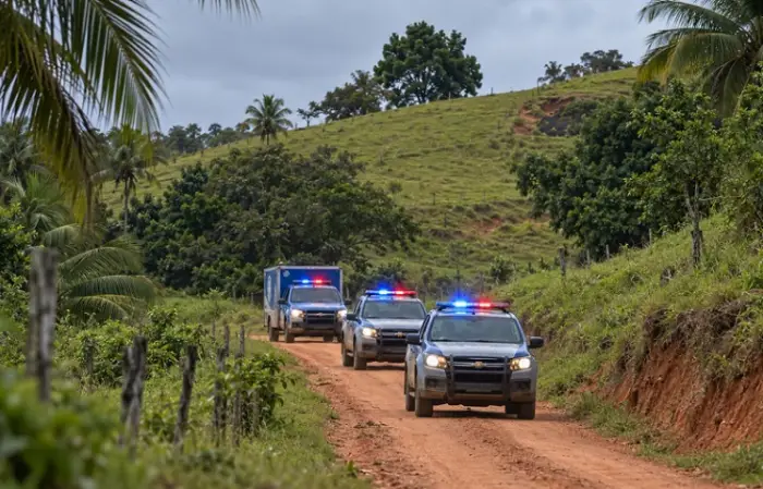 – Crédito: Reprodução