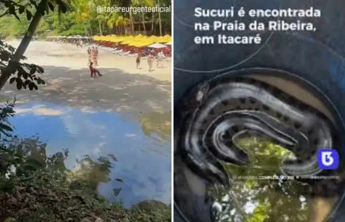 — Crédito: Reprodução/ Itacaré Urgente